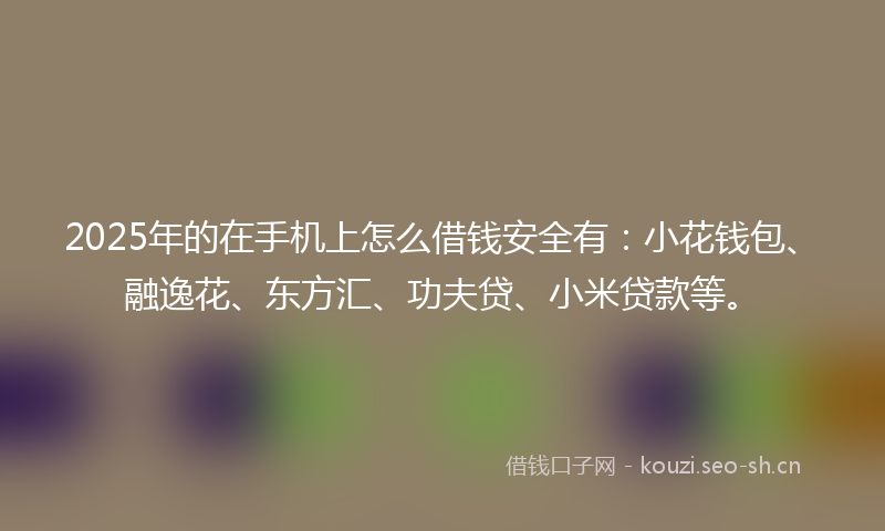 2025年的在手机上怎么借钱安全有:小花钱包、融逸花、东方汇、功夫贷、小米贷款等。