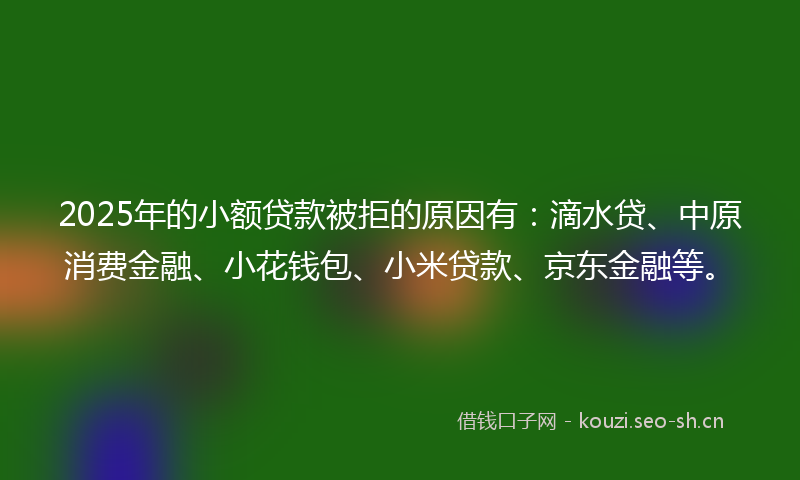2025年的小额贷款被拒的原因有：滴水贷、中原消费金融、小花钱包、小米贷款、京东金融等。
