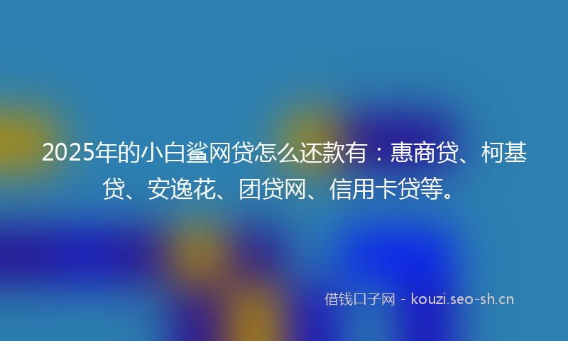 2025年的小白鲨网贷怎么还款有：惠商贷、柯基贷、安逸花、团贷网、信用卡贷等。