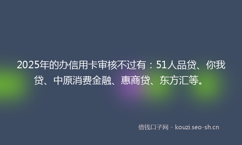 2025年的办信用卡审核不过有：51人品贷、你我贷、中原消费金融、惠商贷、东方汇等。