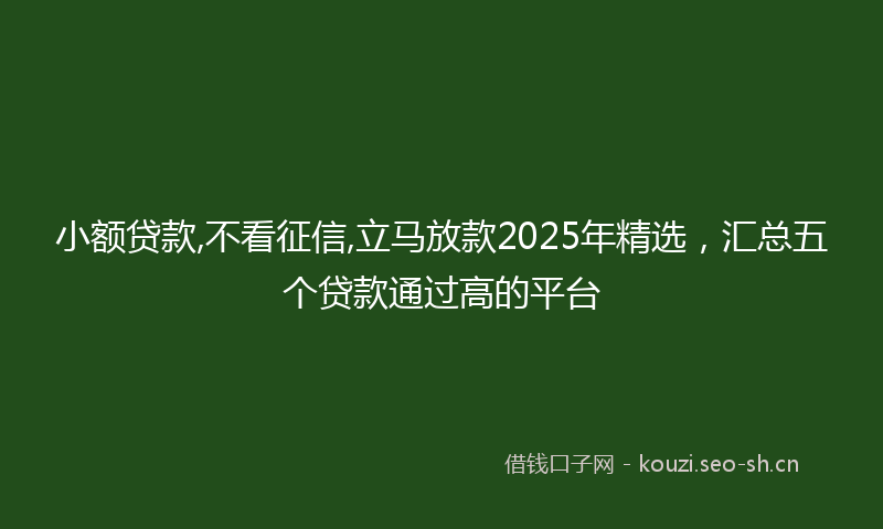 小额贷款,不看征信,立马放款2025年精选，汇总五个贷款通过高的平台