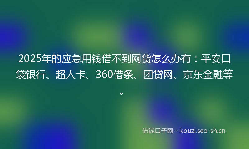 2025年的应急用钱借不到网货怎么办有：平安口袋银行、超人卡、360借条、团贷网、京东金融等。