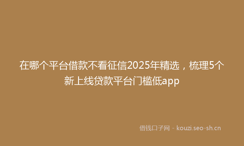 在哪个平台借款不看征信2025年精选，梳理5个新上线贷款平台门槛低app