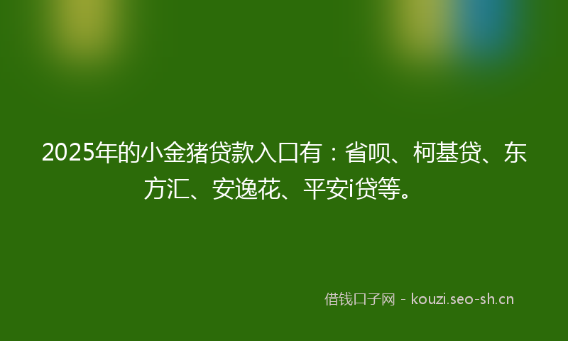 2025年的小金猪贷款入口有：省呗、柯基贷、东方汇、安逸花、平安i贷等。