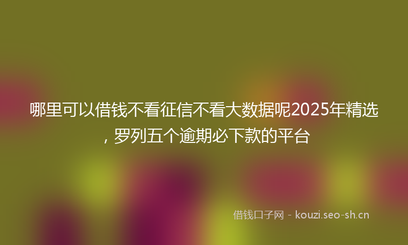 哪里可以借钱不看征信不看大数据呢2025年精选，罗列五个逾期必下款的平台