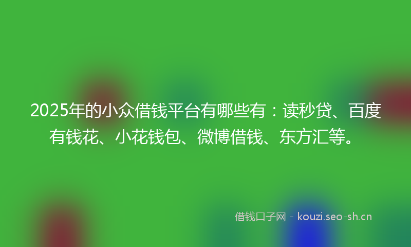 2025年的小众借钱平台有哪些有：读秒贷、百度有钱花、小花钱包、微博借钱、东方汇等。