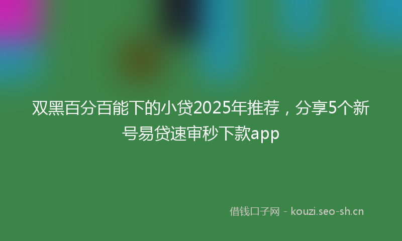 双黑百分百能下的小贷2025年推荐,分享5个新号易贷速审秒下款app