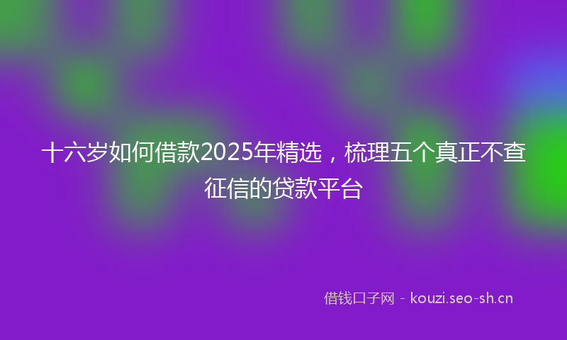 十六岁如何借款2025年精选,梳理五个真正不查征信的贷款平台