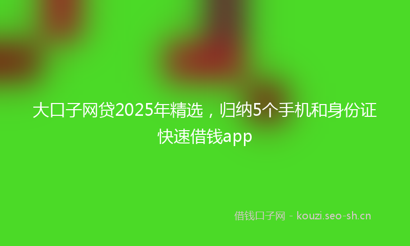 大口子网贷2025年精选，归纳5个手机和身份证快速借钱app