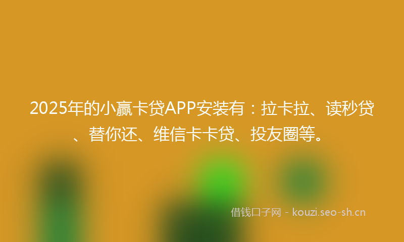 2025年的小赢卡贷APP安装有：拉卡拉、读秒贷、替你还、维信卡卡贷、投友圈等。