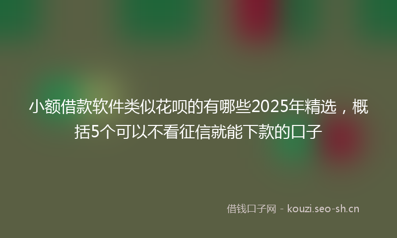 小额借款软件类似花呗的有哪些2025年精选，概括5个可以不看征信就能下款的口子