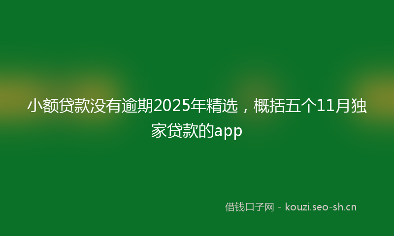 小额贷款没有逾期2025年精选，概括五个11月独家贷款的app