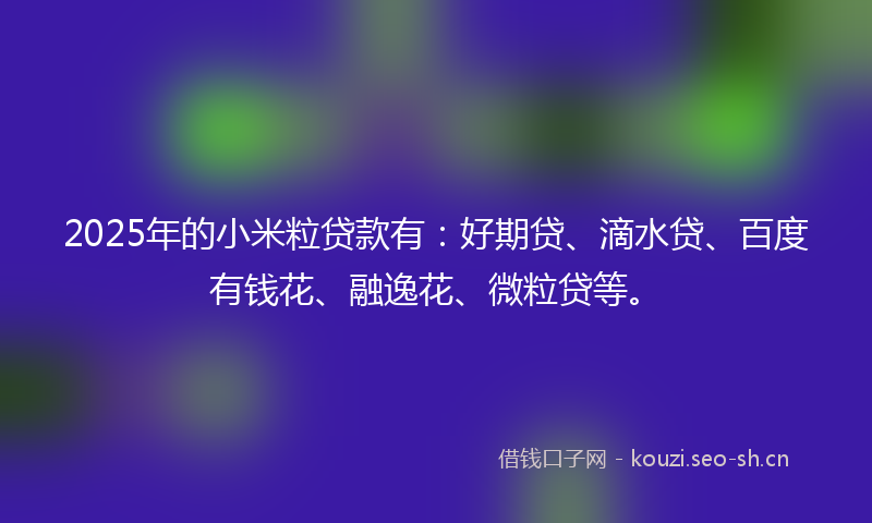 2025年的小米粒贷款有:好期贷、滴水贷、百度有钱花、融逸花、微粒贷等。