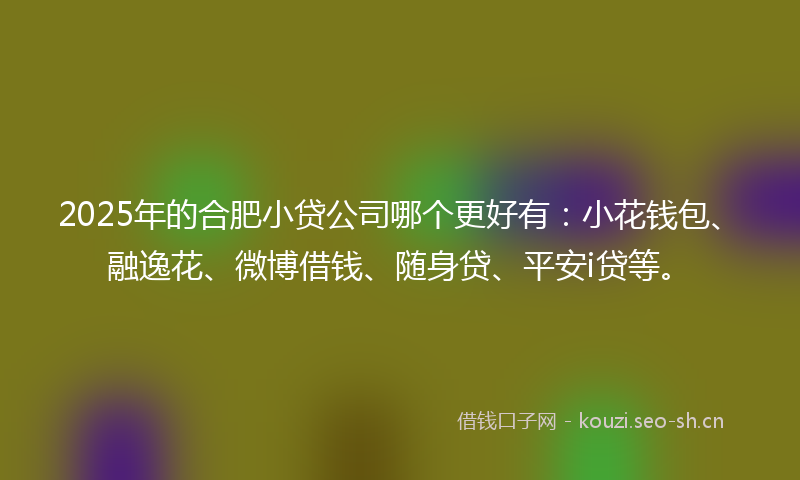 2025年的合肥小贷公司哪个更好有：小花钱包、融逸花、微博借钱、随身贷、平安i贷等。