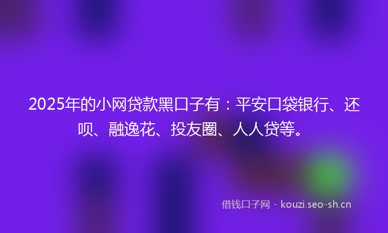 2025年的小网贷款黑口子有：平安口袋银行、还呗、融逸花、投友圈、人人贷等。