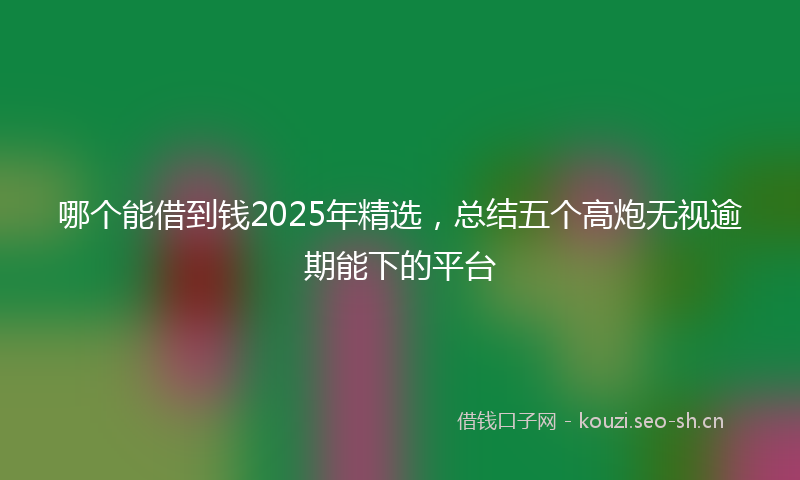 哪个能借到钱2025年精选，总结五个高炮无视逾期能下的平台