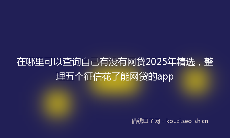 在哪里可以查询自己有没有网贷2025年精选，整理五个征信花了能网贷的app