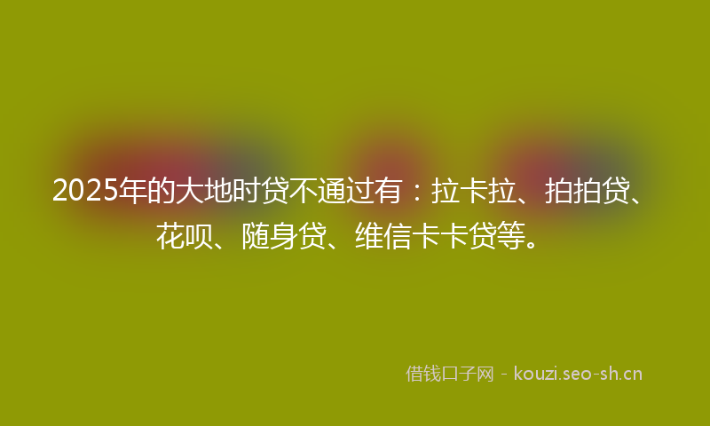 2025年的大地时贷不通过有：拉卡拉、拍拍贷、花呗、随身贷、维信卡卡贷等。