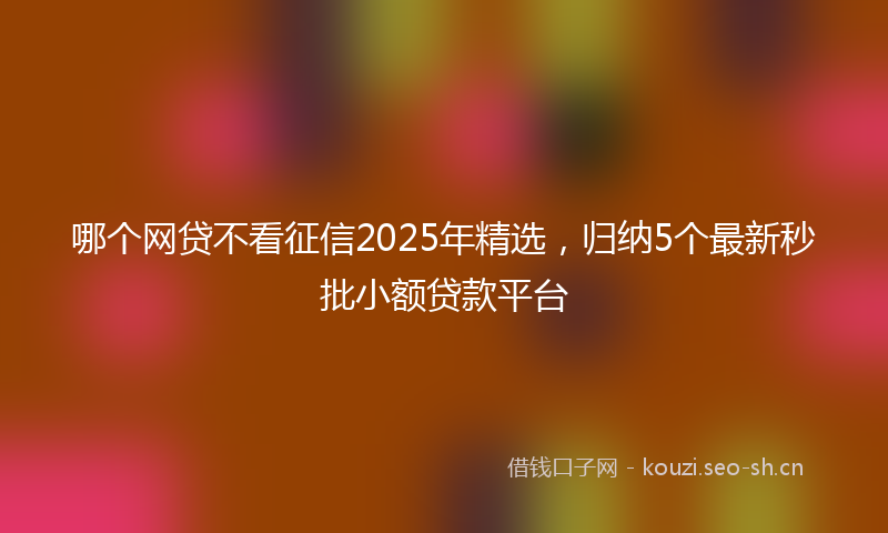 哪个网贷不看征信2025年精选，归纳5个最新秒批小额贷款平台
