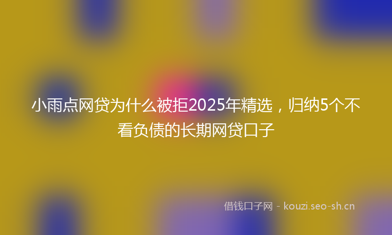 小雨点网贷为什么被拒2025年精选，归纳5个不看负债的长期网贷口子