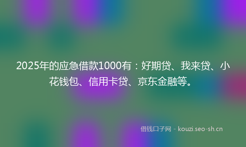 2025年的应急借款1000有:好期贷、我来贷、小花钱包、信用卡贷、京东金融等。