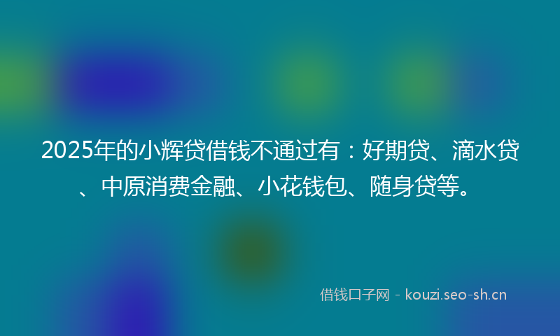 2025年的小辉贷借钱不通过有：好期贷、滴水贷、中原消费金融、小花钱包、随身贷等。