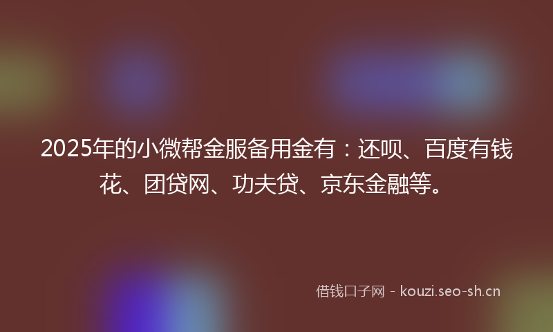 2025年的小微帮金服备用金有：还呗、百度有钱花、团贷网、功夫贷、京东金融等。
