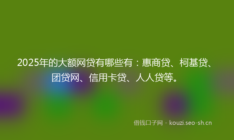 2025年的大额网贷有哪些有：惠商贷、柯基贷、团贷网、信用卡贷、人人贷等。