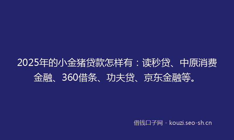 2025年的小金猪贷款怎样有：读秒贷、中原消费金融、360借条、功夫贷、京东金融等。