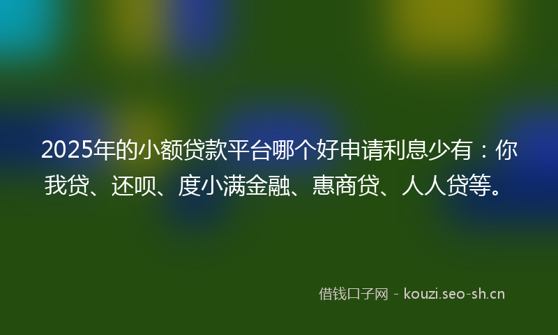 2025年的小额贷款平台哪个好申请利息少有：你我贷、还呗、度小满金融、惠商贷、人人贷等。