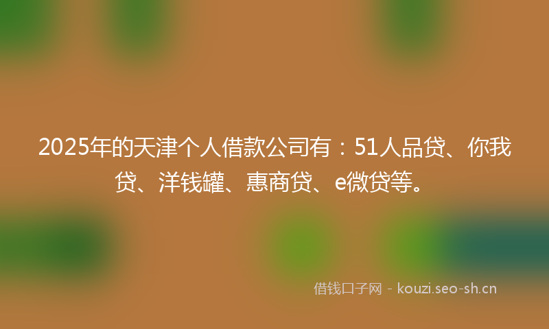 2025年的天津个人借款公司有：51人品贷、你我贷、洋钱罐、惠商贷、e微贷等。