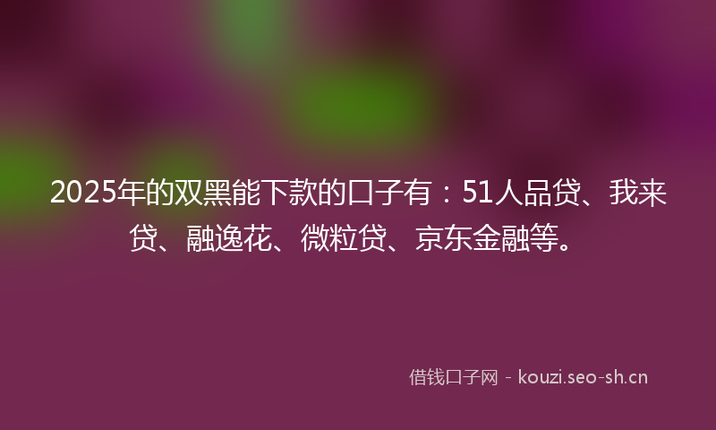 2025年的双黑能下款的口子有:51人品贷、我来贷、融逸花、微粒贷、京东金融等。
