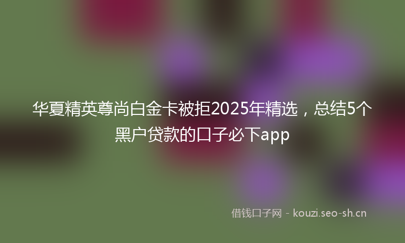 华夏精英尊尚白金卡被拒2025年精选,总结5个黑户贷款的口子必下app