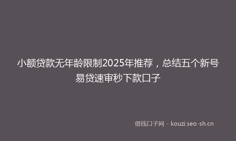 小额贷款无年龄限制2025年推荐，总结五个新号易贷速审秒下款口子