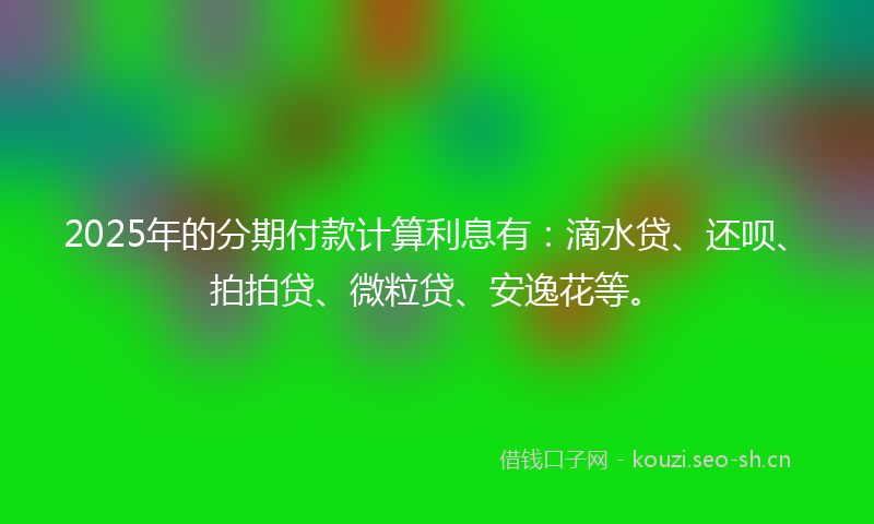2025年的分期付款计算利息有：滴水贷、还呗、拍拍贷、微粒贷、安逸花等。