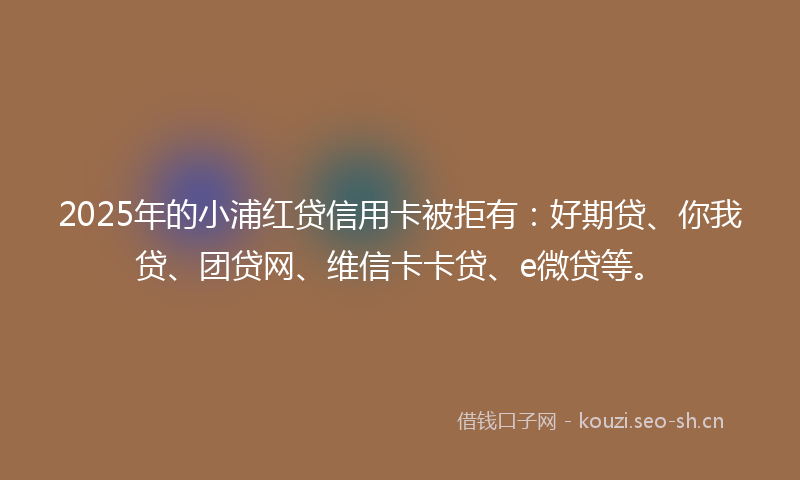 2025年的小浦红贷信用卡被拒有：好期贷、你我贷、团贷网、维信卡卡贷、e微贷等。