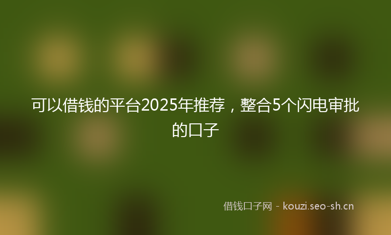 可以借钱的平台2025年推荐,整合5个闪电审批的口子