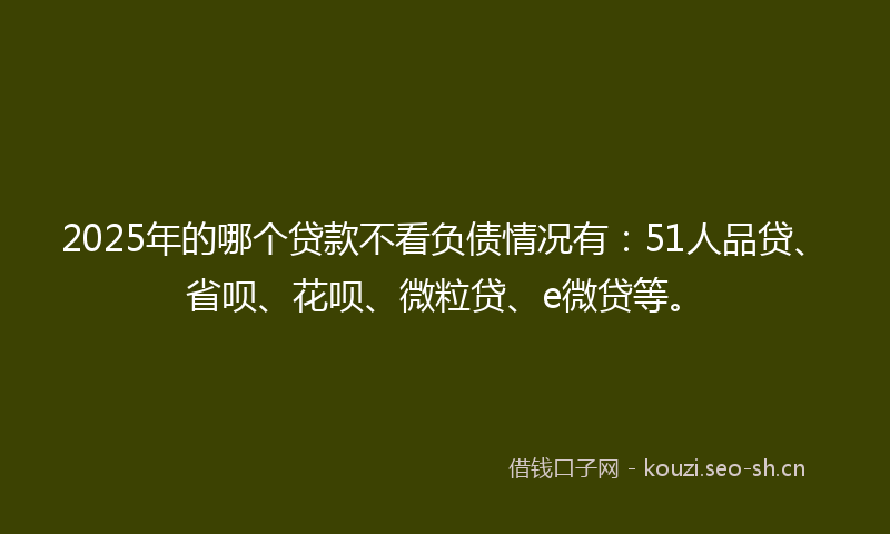 2025年的哪个贷款不看负债情况有：51人品贷、省呗、花呗、微粒贷、e微贷等。
