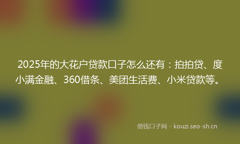 2025年的大花户贷款口子怎么还有：拍拍贷、度小满金融、360借条、美团生活费、小米贷款等。