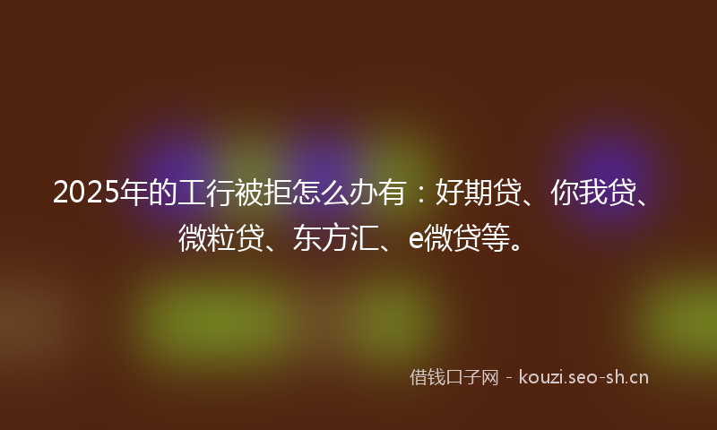 2025年的工行被拒怎么办有：好期贷、你我贷、微粒贷、东方汇、e微贷等。