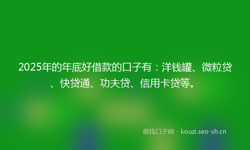 2025年的年底好借款的口子有：洋钱罐、微粒贷、快贷通、功夫贷、信用卡贷等。