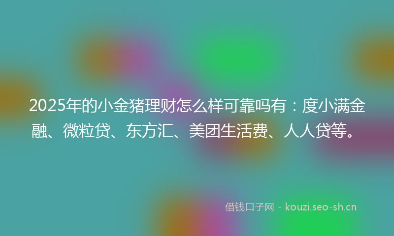 2025年的小金猪理财怎么样可靠吗有:度小满金融、微粒贷、东方汇、美团生活费、人人贷等。