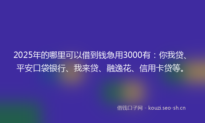 2025年的哪里可以借到钱急用3000有：你我贷、平安口袋银行、我来贷、融逸花、信用卡贷等。