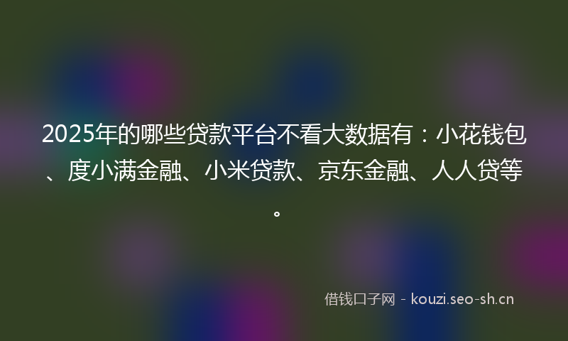 2025年的哪些贷款平台不看大数据有：小花钱包、度小满金融、小米贷款、京东金融、人人贷等。