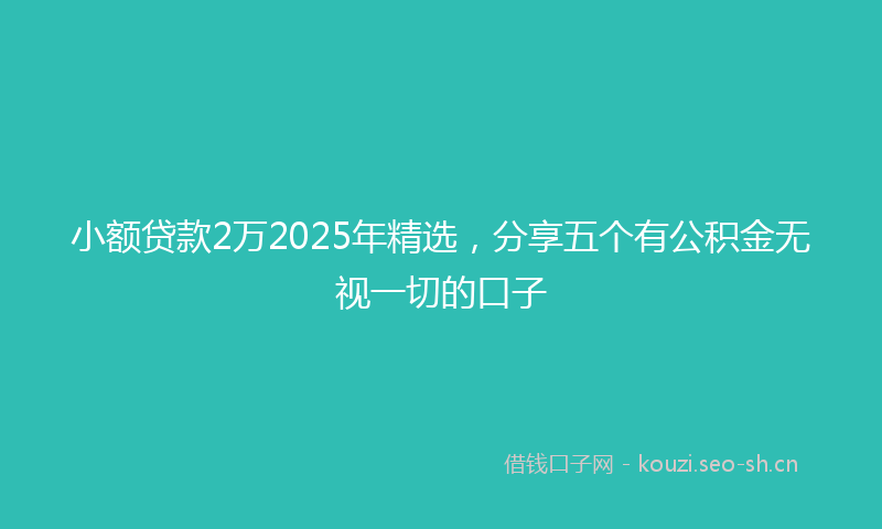 小额贷款2万2025年精选，分享五个有公积金无视一切的口子