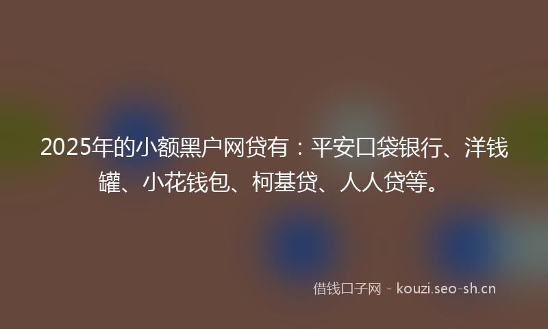 2025年的小额黑户网贷有：平安口袋银行、洋钱罐、小花钱包、柯基贷、人人贷等。