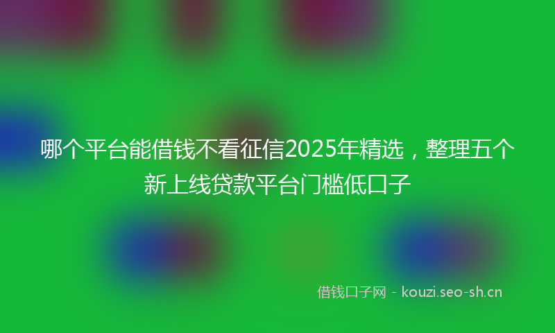 哪个平台能借钱不看征信2025年精选，整理五个新上线贷款平台门槛低口子