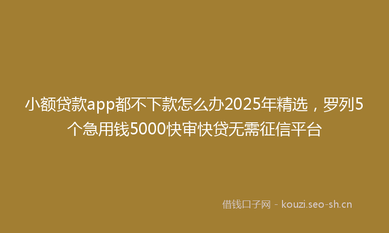 小额贷款app都不下款怎么办2025年精选，罗列5个急用钱5000快审快贷无需征信平台