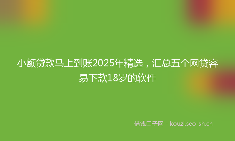 小额贷款马上到账2025年精选，汇总五个网贷容易下款18岁的软件