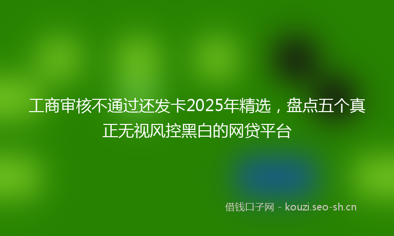 工商审核不通过还发卡2025年精选，盘点五个真正无视风控黑白的网贷平台